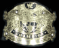 beltwwechamp.gif